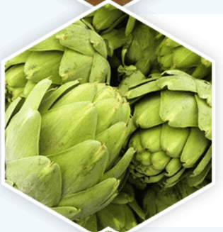 prostavive_ingredient7