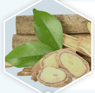 prostavive_ingredient2