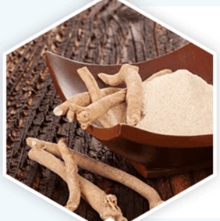 prostative_ingredient3