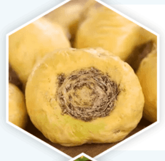 prostavive_ingredient6